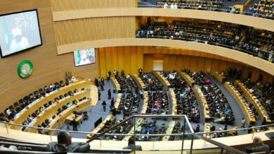 african union how did it turn into strong organization0