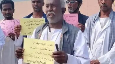 ce6aba9a bb93 416b b6c1 ff756ee45954