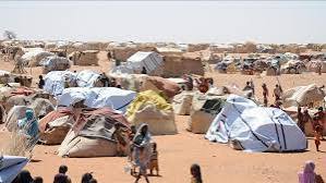 الحكومة السودانية تصدر بيان بشأن جريمة بشعة 13 الحكومة السودانية تصدر بيان بشأن جريمة بشعة