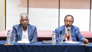 حمدوك يخاطب مجلس السلم الافريقي بشأن عضوية السودان في الإتحاد الأفريقي 12 حمدوك يخاطب مجلس السلم الافريقي بشأن عضوية السودان في الإتحاد الأفريقي