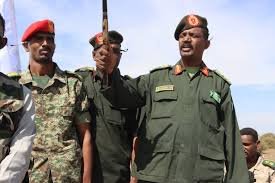 التحام قوات درع السودان بالجيش في العيلفون
