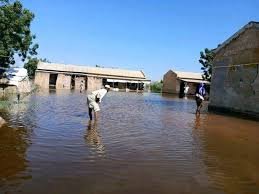 كارثة إنسانية في الجزيرة أبا: نداء عاجل للإغاثة 12 كارثة إنسانية في الجزيرة أبا: نداء عاجل للإغاثة
