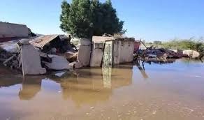 كارثة إنسانية في الجزيرة أبا: نداء عاجل للإغاثة 13 كارثة إنسانية في الجزيرة أبا: نداء عاجل للإغاثة