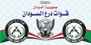 نجاة قياديين بدرع السودان من هجوم بمسيرة 12 نجاة قياديين بدرع السودان من هجوم بمسيرة