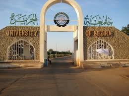 المليشيا تقوم بنهب وتدمير ممنهج بمجمعات جامعة الجزيرة 13 المليشيا تقوم بنهب وتدمير ممنهج بمجمعات جامعة الجزيرة