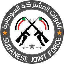 القوة المشتركة تكشف عن حملة تطهير عرقي في مخيم زمزم 13 القوة المشتركة تكشف عن حملة تطهير عرقي في مخيم زمزم