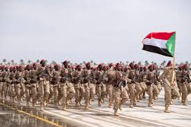 الكشف عن خطة محكمة لتحرير مدينة الرهد 13 الكشف عن خطة محكمة لتحرير مدينة الرهد