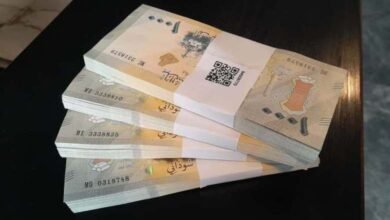 باخرتان تحملان مبالغ مالية تصلان بورتسودان