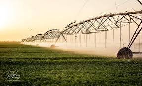 تعهدات سيادية بعودة مشروع الجزيرة لسيرته الأولى