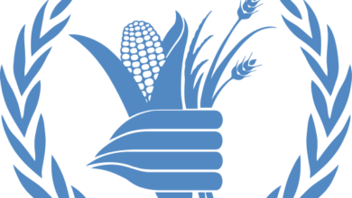 ١٠ ٠٤ ٢٢ World Food Programme Logo Simple.svg 560x470 1