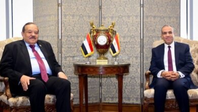 ١٠ ٢٣ ١٦ وزير الخارجية السوداني ونظيره المصري