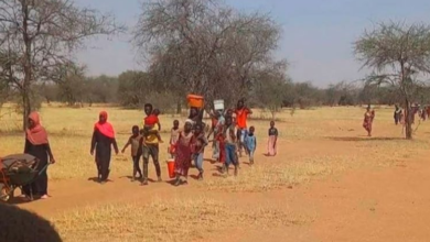 ١٢ ٤٨ ٥١ غرب كردفان 750x429 2