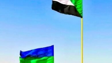 حركة جيش تحرير السودان تدين حرق قرى بالفاشر 19 1741007656215