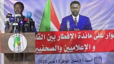 حاكم إقليم دارفور يشيد بمواقف الرئيس الارتيري 14 1742061554179