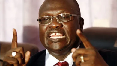 43d626de a557 4850 9195 df948823d7fe