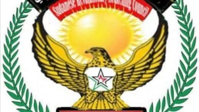 480942610 678826527832389 611202867190951766 n 810x836 1