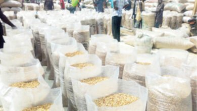 Farm produce at a grains market near Abuja