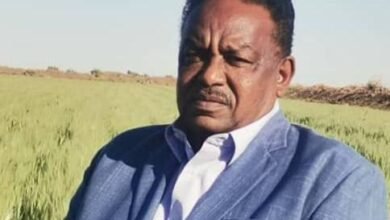 محافظ مشروع الجزيرة يبشر المزارعين 17 IMG 20241021 WA01301