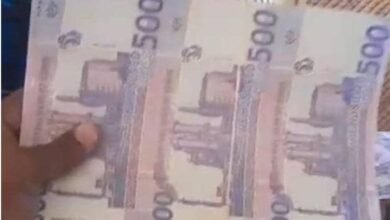 مباحث ولاية الخرطوم تحقق إنجازا خطيرا 16 IMG 20250314 WA0029