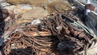 Screenshot 20250324 115352 Chrome