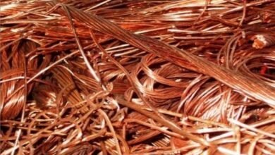 Screenshot 20250326 220817 Chrome