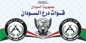 قوات درع السودان تكشف أمر مهم 