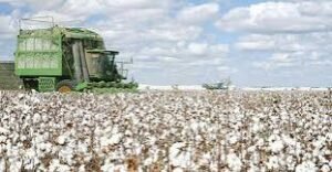 مشروع الجزيرة يكشف حقيقة التعاقد مع شركة (زبيدة) 13 مشروع الجزيرة يكشف حقيقة التعاقد مع شركة (زبيدة)