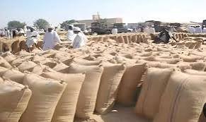 ارتفاع غير مسبوق في اسعار المحاصيل 12 ارتفاع غير مسبوق في اسعار المحاصيل