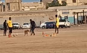 مجلس جديد لرابطة البر الشرقي