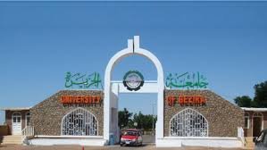 المليشيا  تدمر وتنهب كليات مجمع أبو حراز بجامعة الجزيرة 