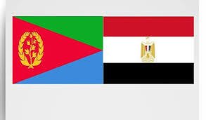 خارجية مصر واريتريا تؤكدان دعمهما للسودان 13 خارجية مصر واريتريا تؤكدان دعمهما للسودان