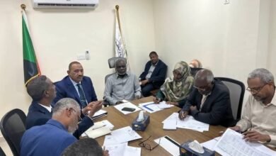 e4002c0d 848a 4da3 9256 94173f04a80f