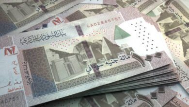العملة السودانية الجنيه السوداني