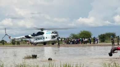 ١١ ٤٦ ١٤ laA7v682WK 1741460992