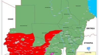 ١٨ ٤٢ ٥٣ FB IMG 1742915572612 750x430 1