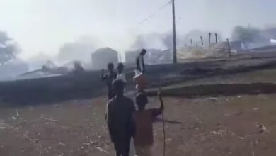 ١٩ ٤١ ٠٣ Screenshot 20250322 173412 750x430 1