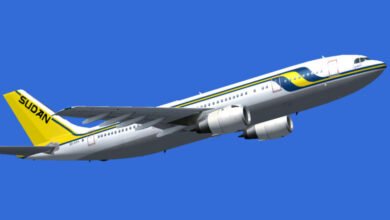 ٢٣ ٢٣ ٠٠ سودانير 768x540 1