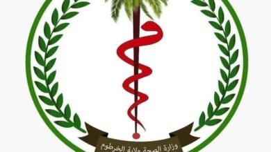 صحة الخرطوم تكشف إحصاءات المترددين على المستشفيات خلال عطلة العيد 16 1743849718908