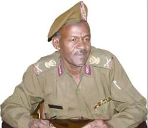 لواء ركن (م) د. يونس محمود: ضرورة التحالف مع تركيا