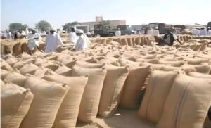 السودان .. أسعار المحاصيل تنخفض!!