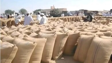 السودان .. أسعار المحاصيل تنخفض!!
