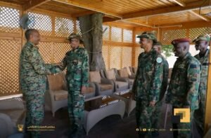 تفاصيل لقاء البرهان بوفد الهيئة العليا لإسناد متحرك عثمان دانفوديو