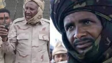 60fa11dd 4d3b 4294 b746 7fbed0c6bad6