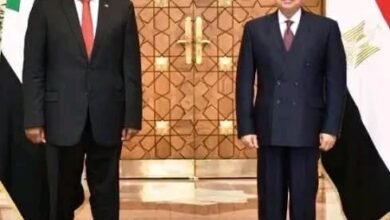 77f83b76 f482 44b5 b19d 4ac0abfafe44