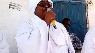 قبيلة الشنابلة تعلن الجهاد ضد الميلشيا 17 IMG 20250408 WA0007