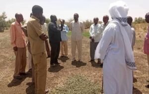 تأهيل كبري مهم دمرته الميلشيا