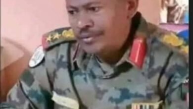 IMG 20250426 WA00162