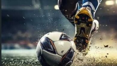 Screenshot 20250414 232518 WhatsAppBusiness