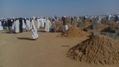 Screenshot 20250417 121017 Chrome