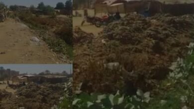 Screenshot 20250422 145724 Chrome